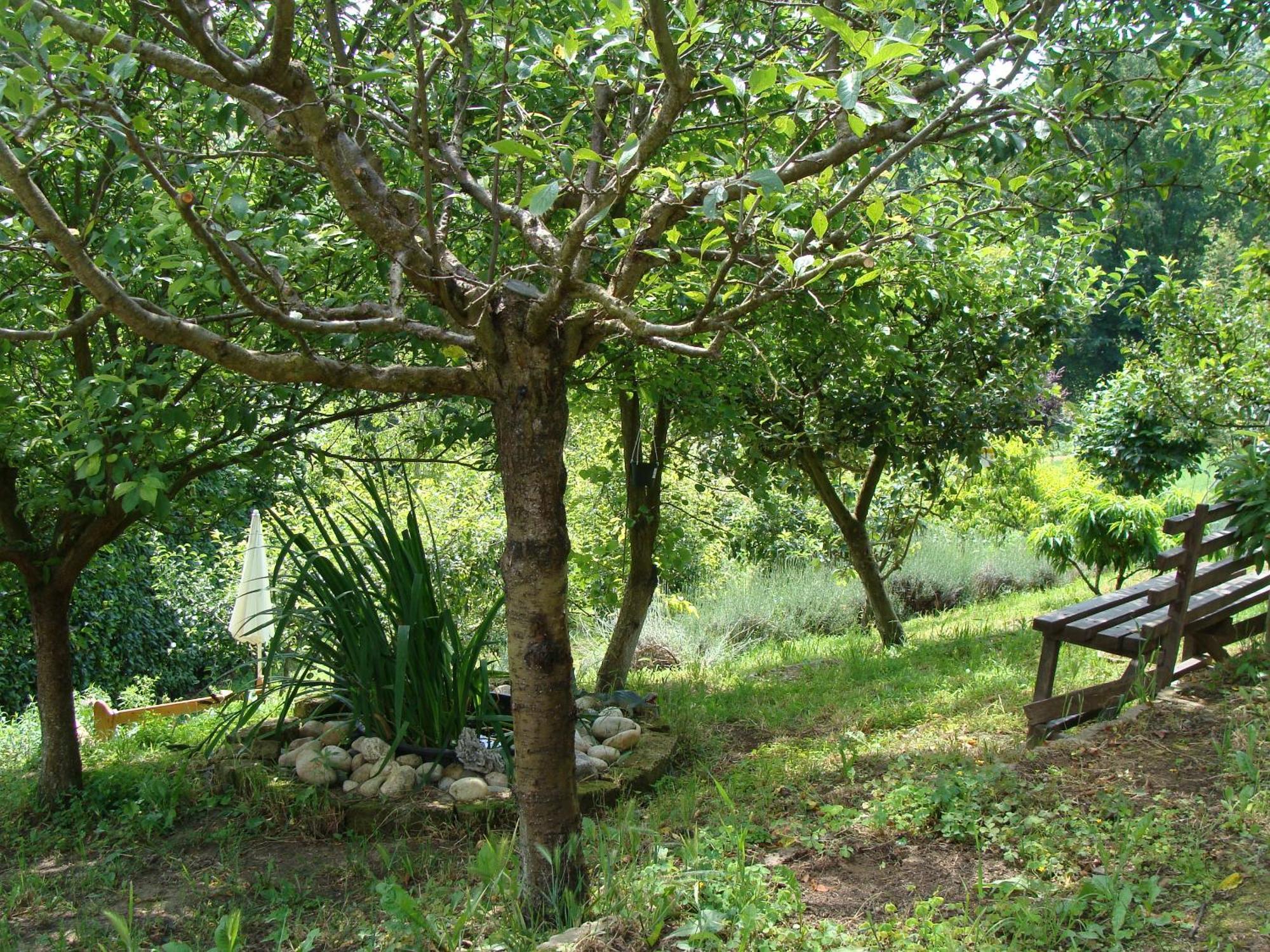 Appartamento In Monferrato Di Dominga Portacomaro Exterior photo
